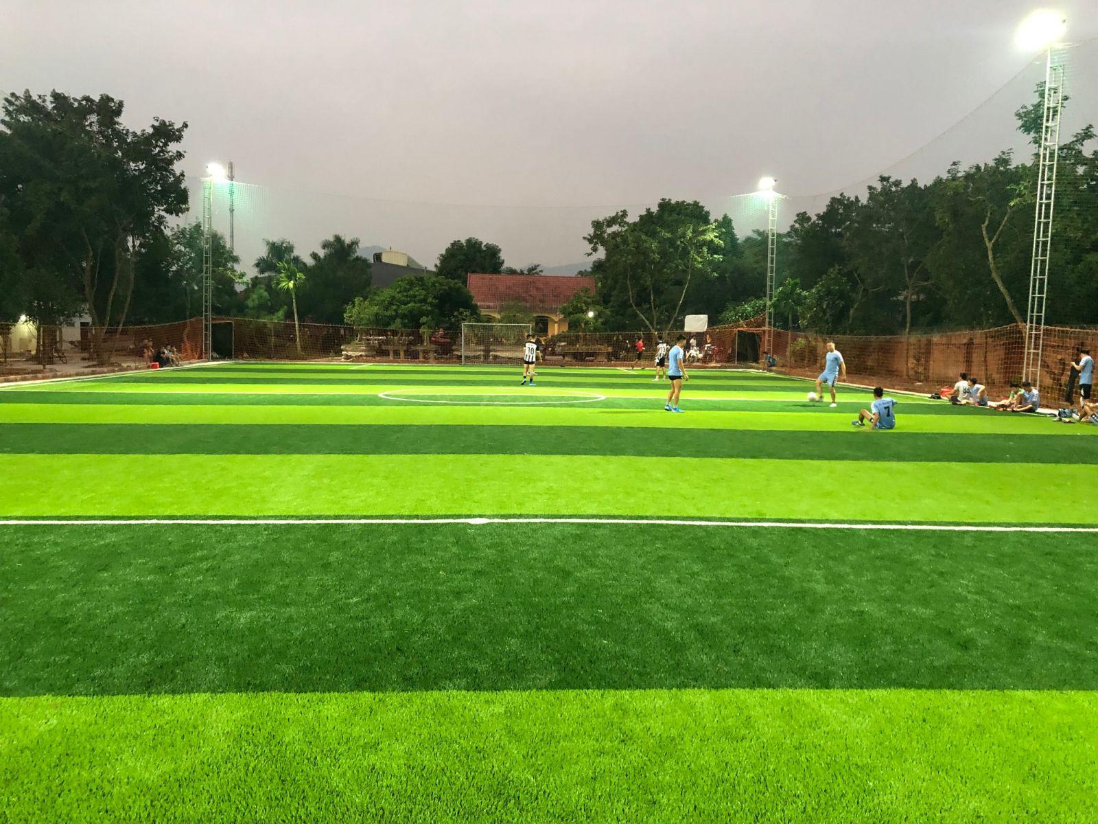 Cỏ nhân tạo sân bóng HT10