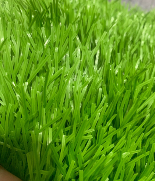 Cỏ nhân tạo sân bóng HT13