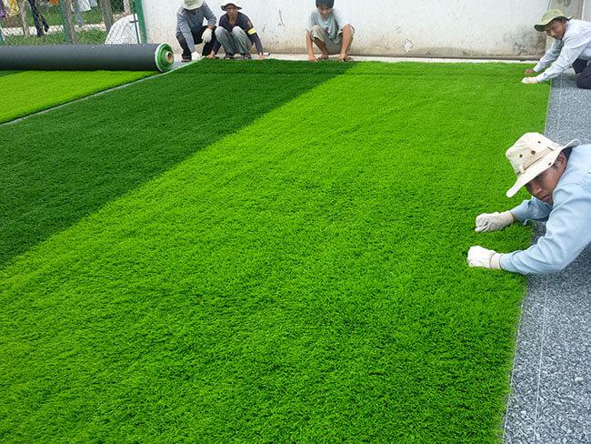 Mua Cỏ Nhân Tạo Ở Đâu Uy Tín, Giá Tốt Nhất Hiện Nay?