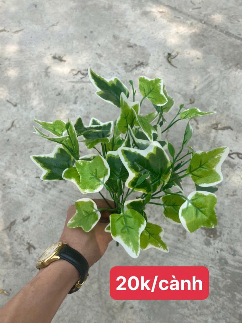 Phụ kiện HT01