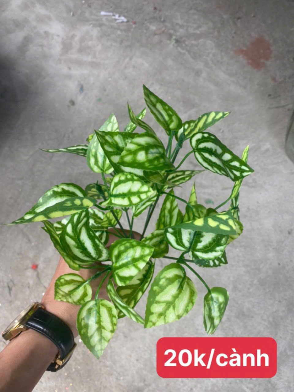Phụ kiện HT03