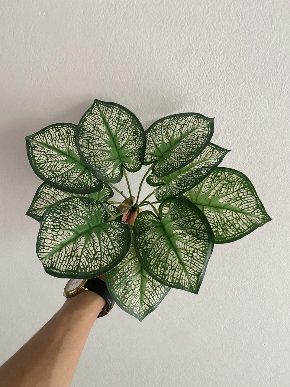 Phụ kiện HT02