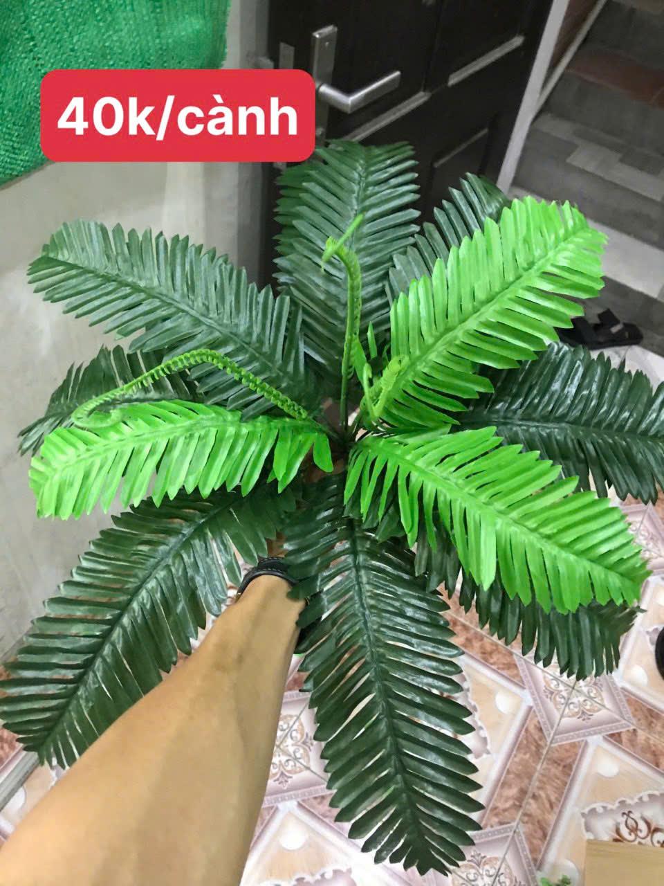 Phụ kiện HT05