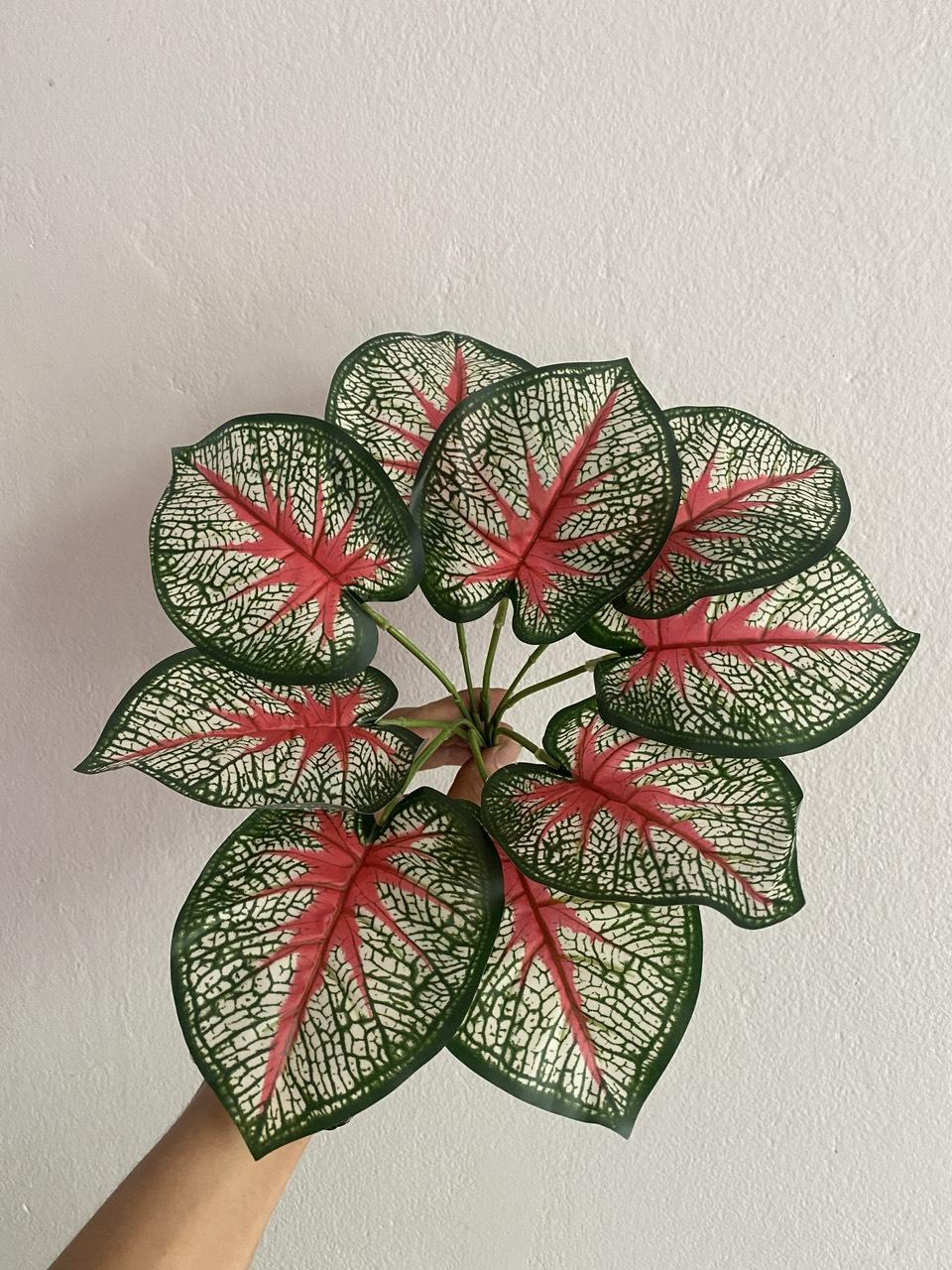 Phụ kiện HT08