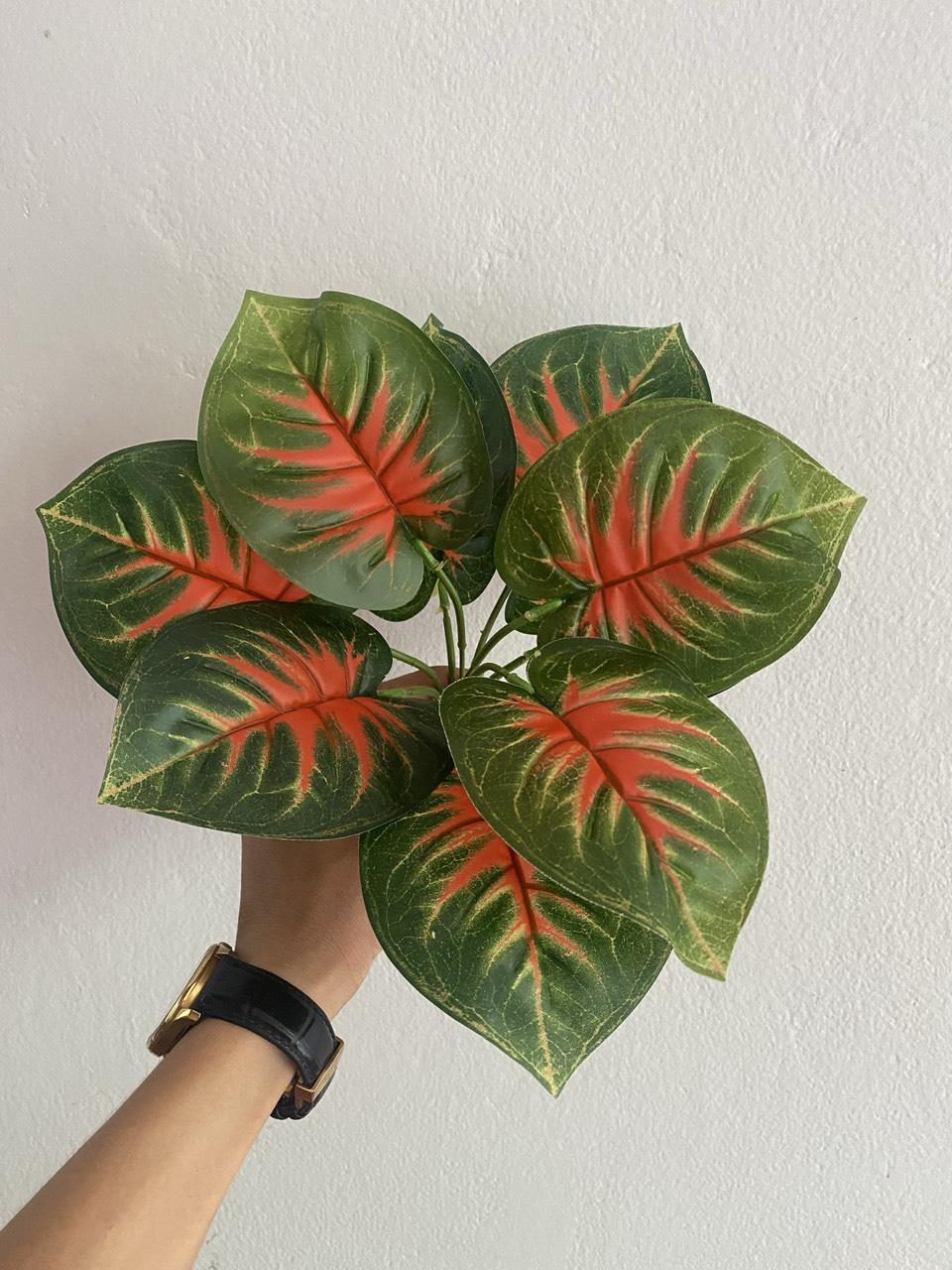 Phụ kiện HT09