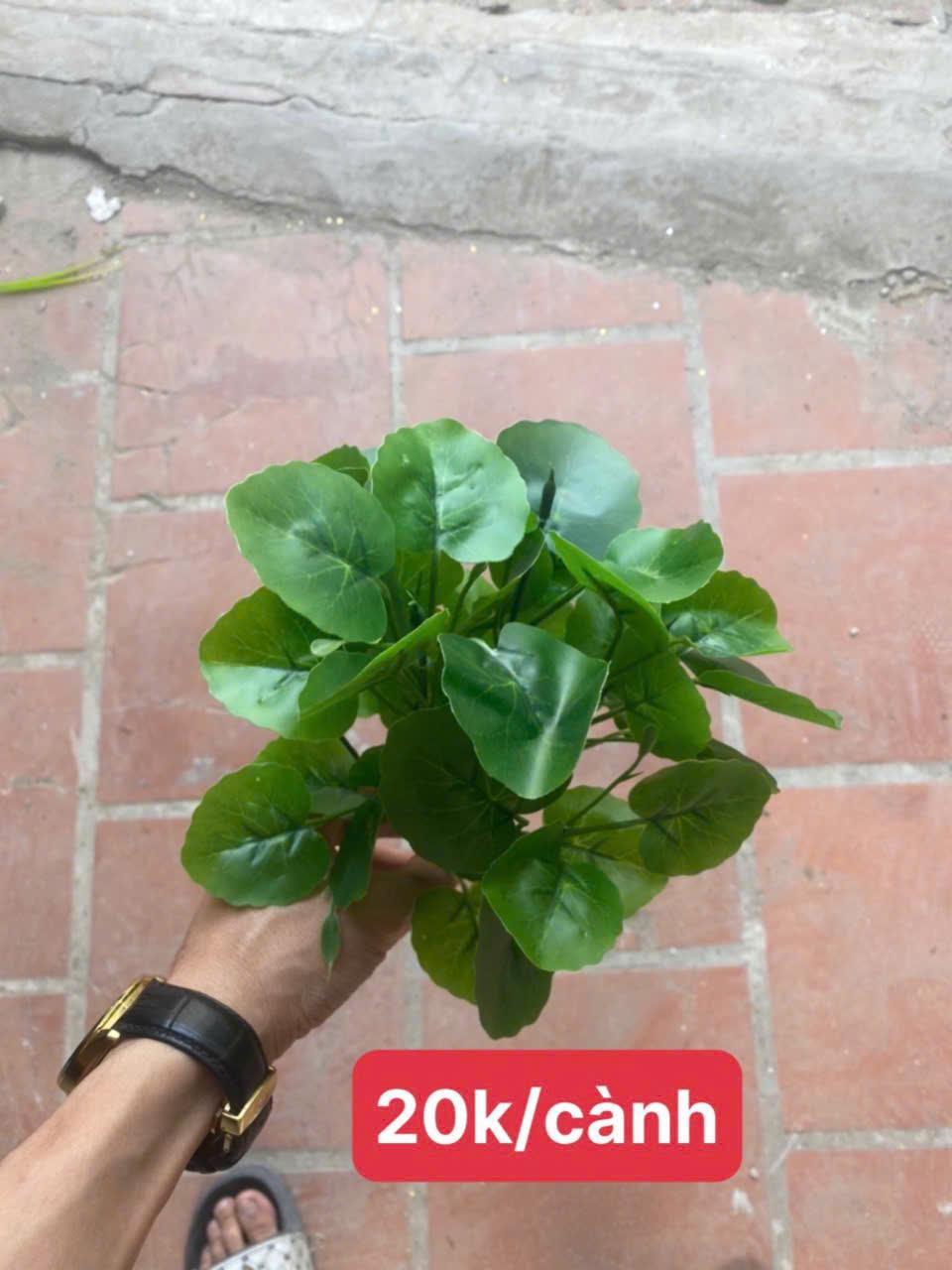 Phụ kiện HT04
