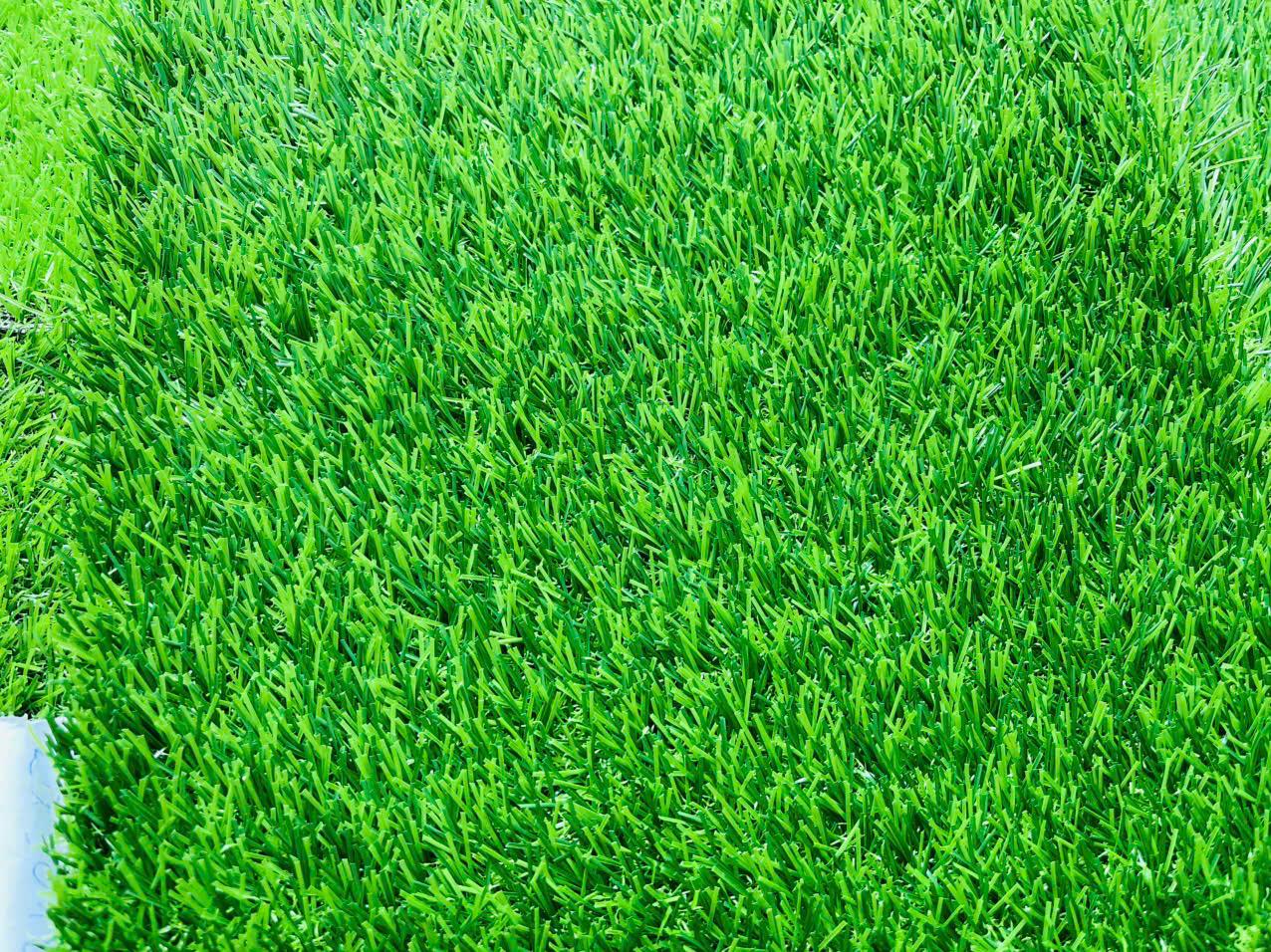 Cỏ nhân tạo sân Vườn MT 3-18