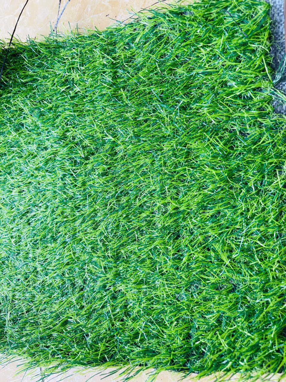 Thảm Cỏ Nhân Tạo MT2-11