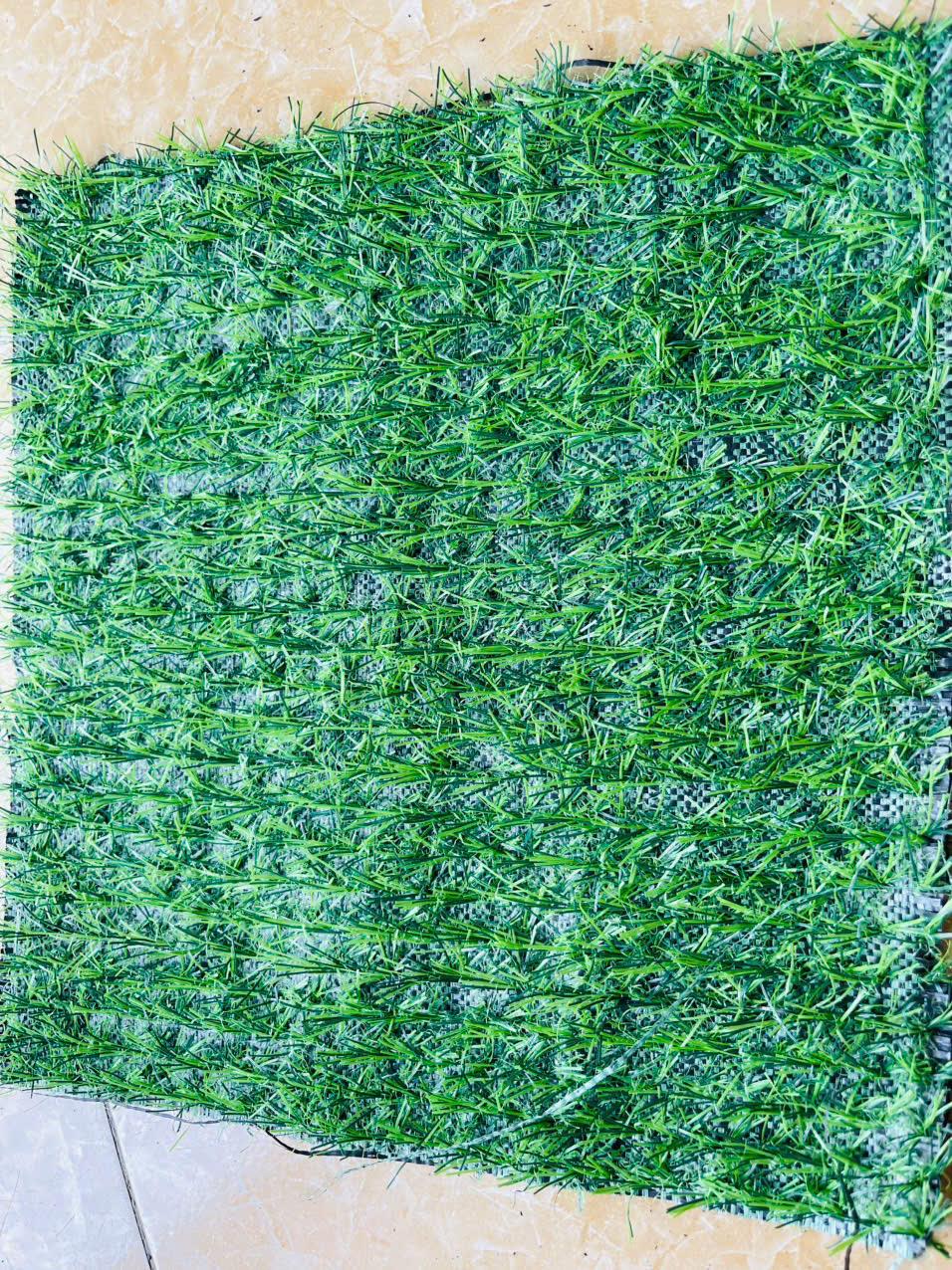 Thảm Cỏ Nhân Tạo HT2-11